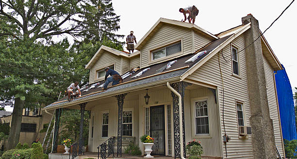 Best Storm Damage Roof Repair  in Quinnesec, MI